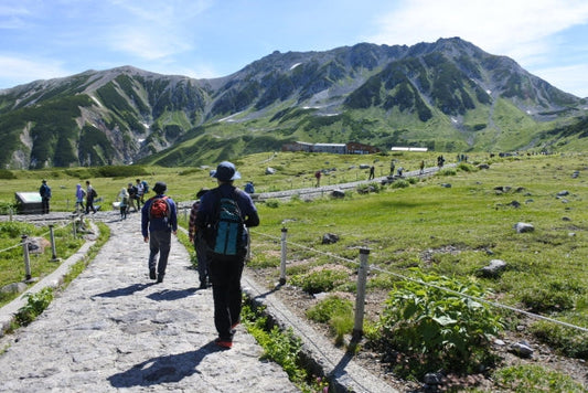 登山の日に一歩を踏み出そう!週3日のウォーキングで認知症予防