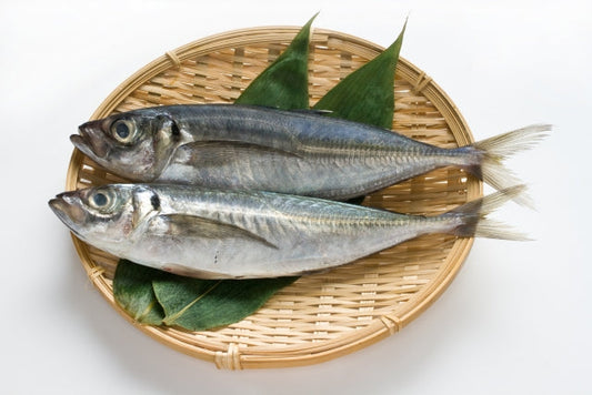 旬の青魚で脳のアンチエイジング